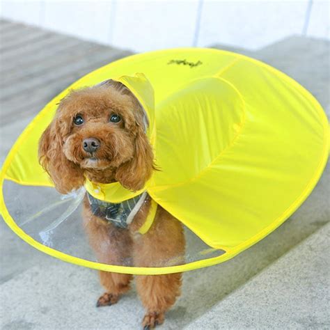 dog raincoat with umbrella